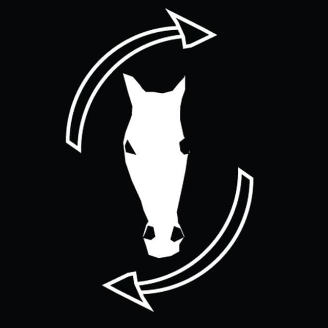 The Horses Of The Gods