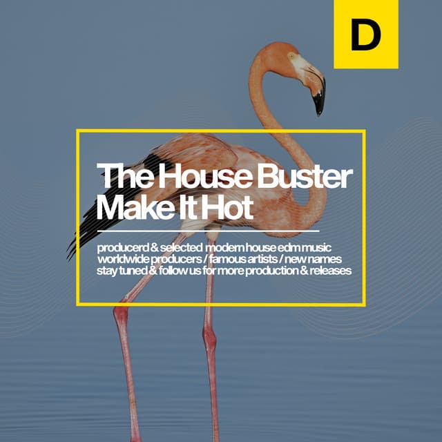 The House Buster