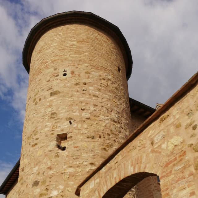 The Inner Harmony Collective