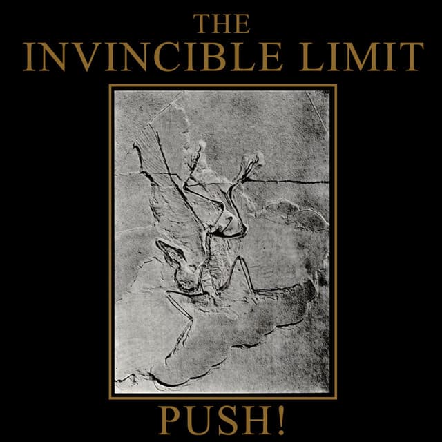 The Invincible Limit