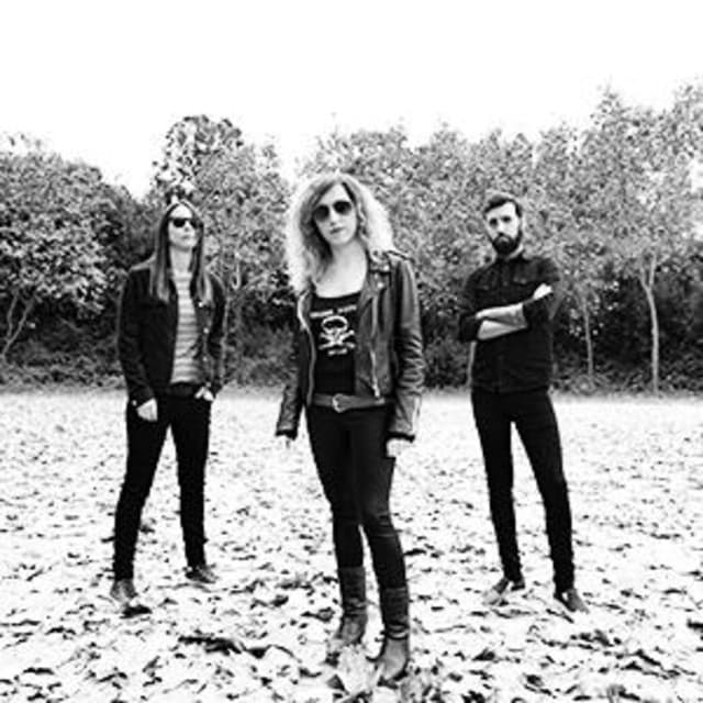 The Lizards