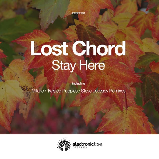 The Lost Chord