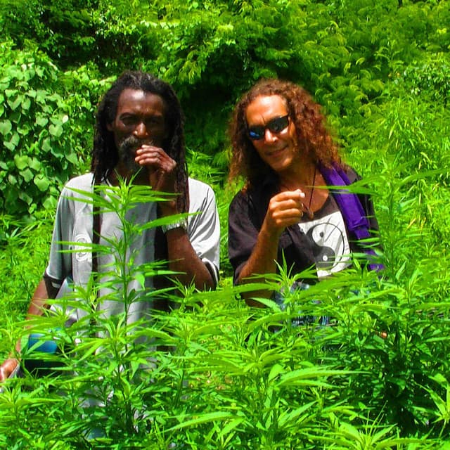 The Natural Mystics