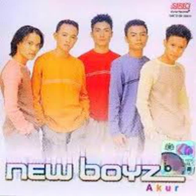 The New Boyz