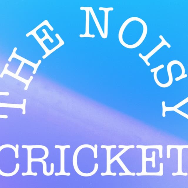 The Noisy Cricket