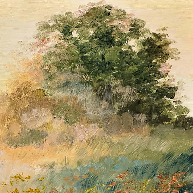 The Northern Lights Quintet