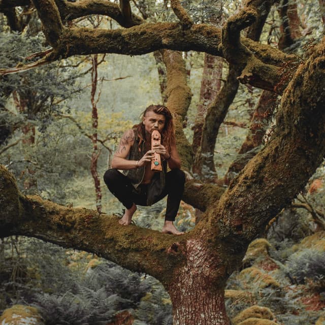 The Northern Poet