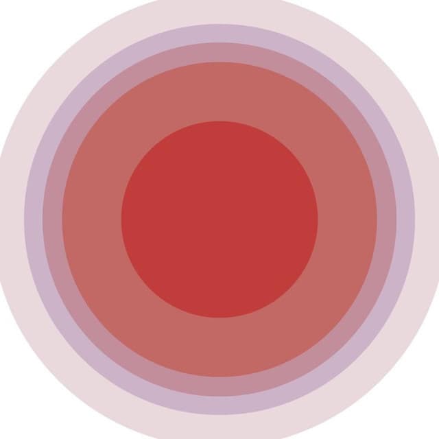 The Norwegian Soloists' Choir