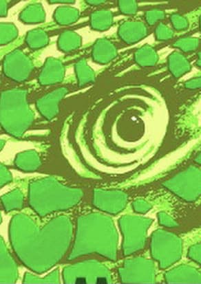 The Norwegian Soulband