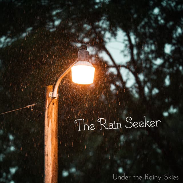 The Rain Seeker
