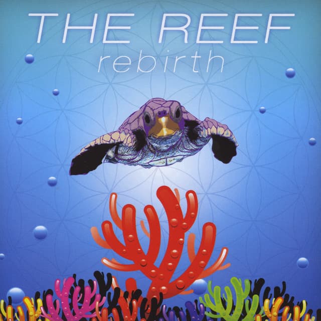 The Reef