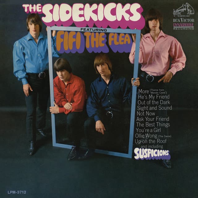The Sidekicks