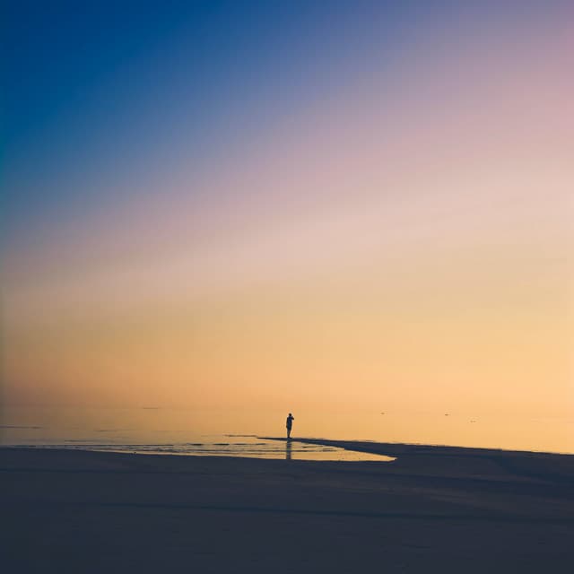 The Tides