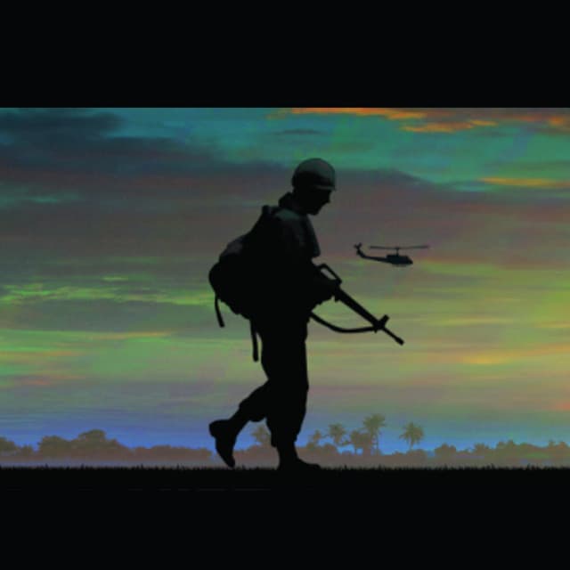 The Vietnam War on PBS