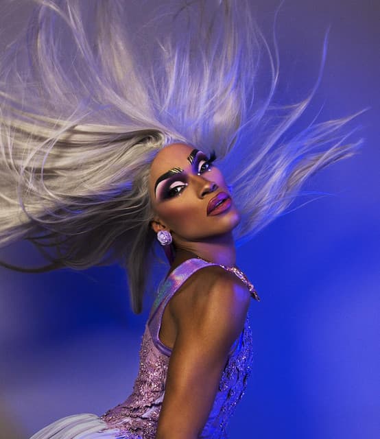 The Vixen