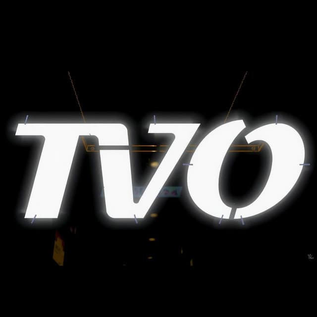 The Voodoo Organisation