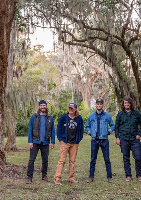 The Wooks
