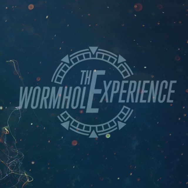 The Wormhole Experience