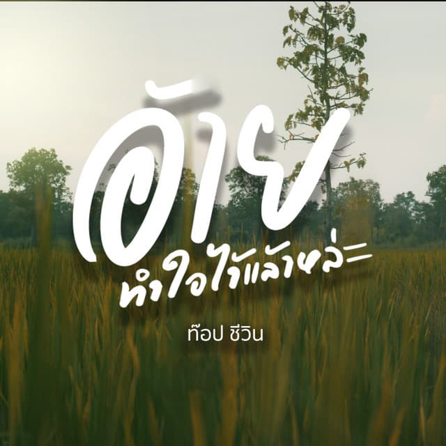 ท๊อป ชีวิน