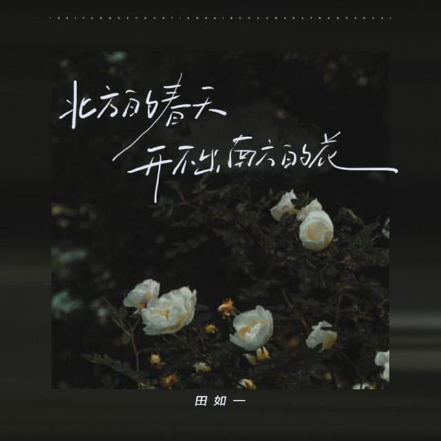 田如一