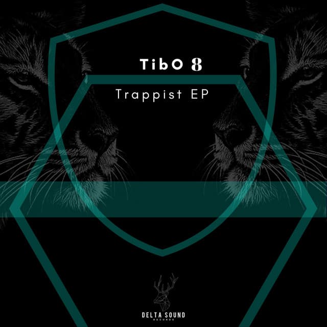 TibO 8