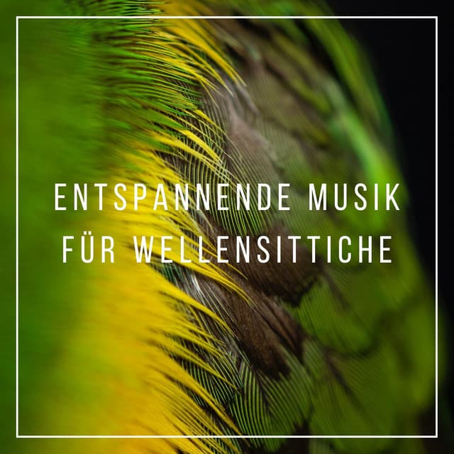 Tiefenentspannung Atmospheres