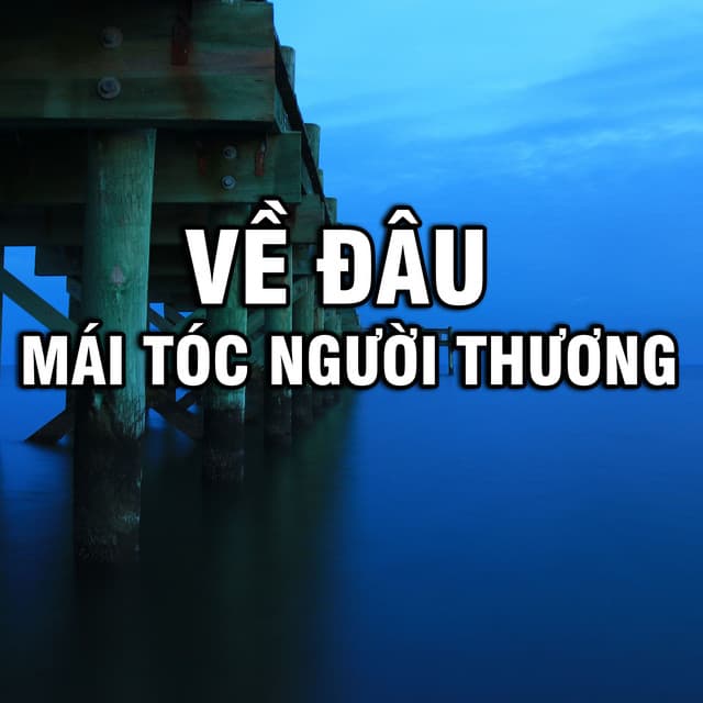 Tình Trần