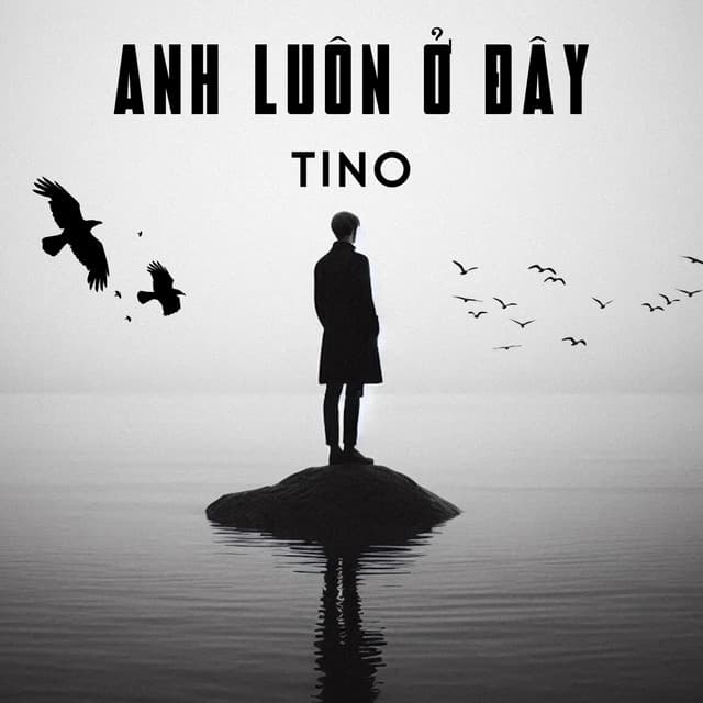 TINO