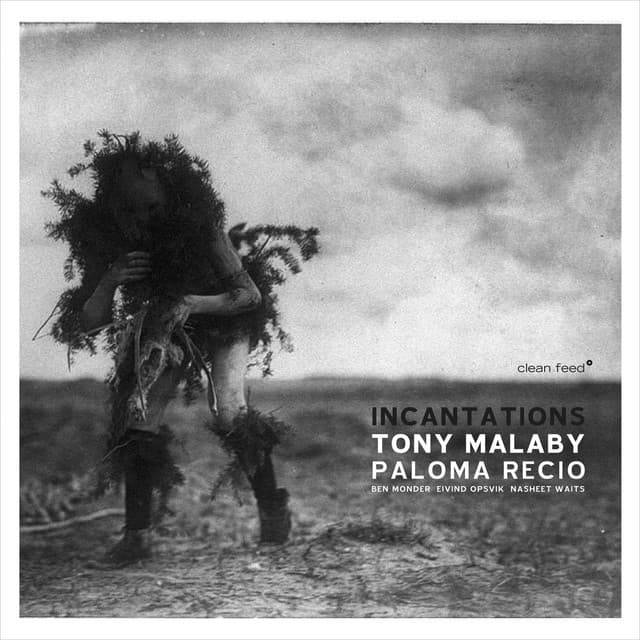 Tony Malaby's Paloma Recio