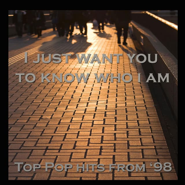 Top Pop Hits From '98