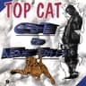 Topcat