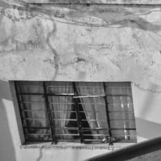 Torso Corso