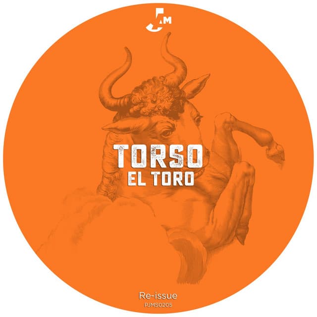 Torso