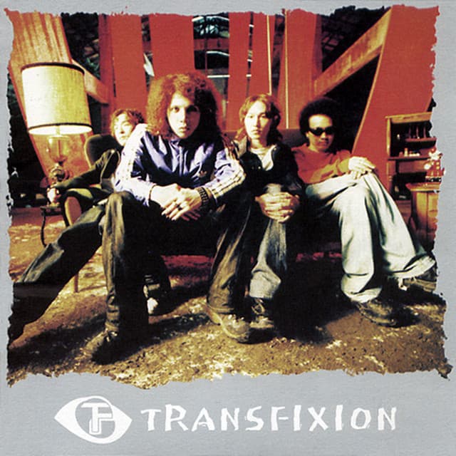 TransFixion