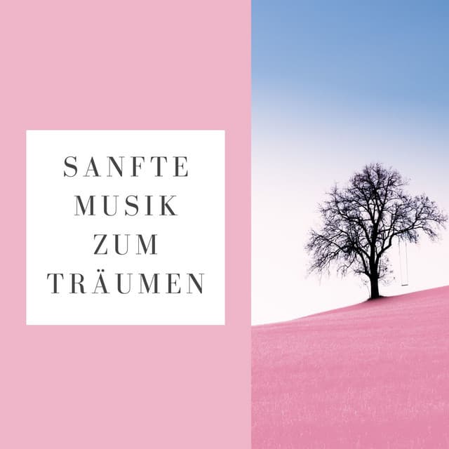 Traumfänger