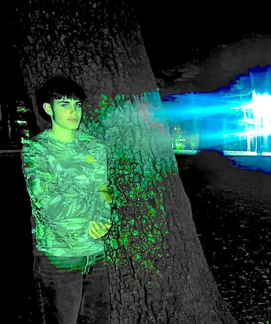 Treezo