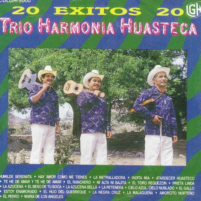 Trio Armonia Huasteca