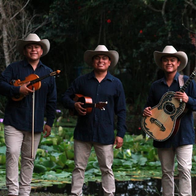 Trío Cantores del Son
