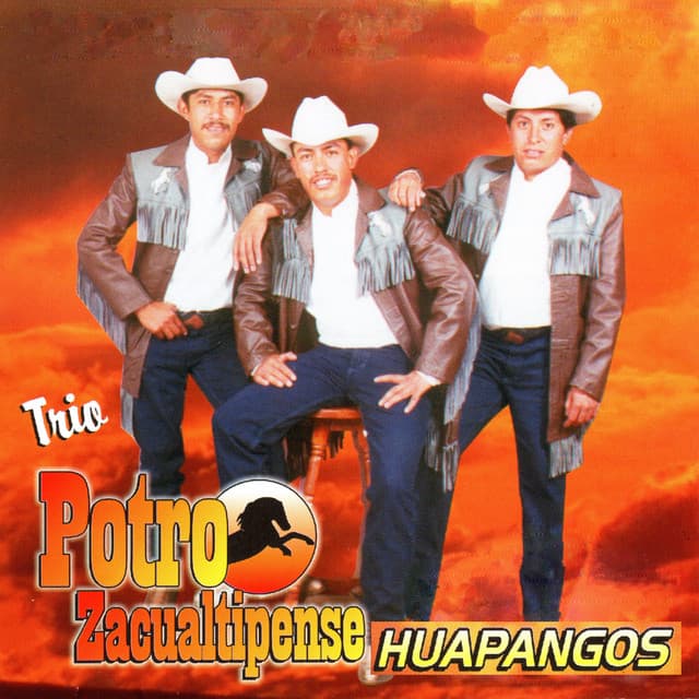 Trio Potro Zacualtipense
