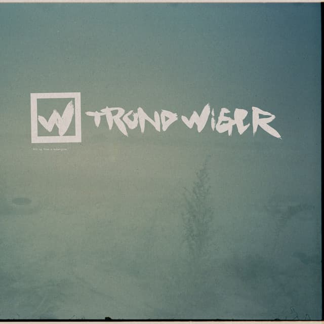 Trond Wiger