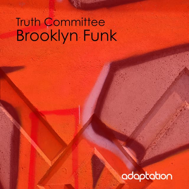 Truth Committee