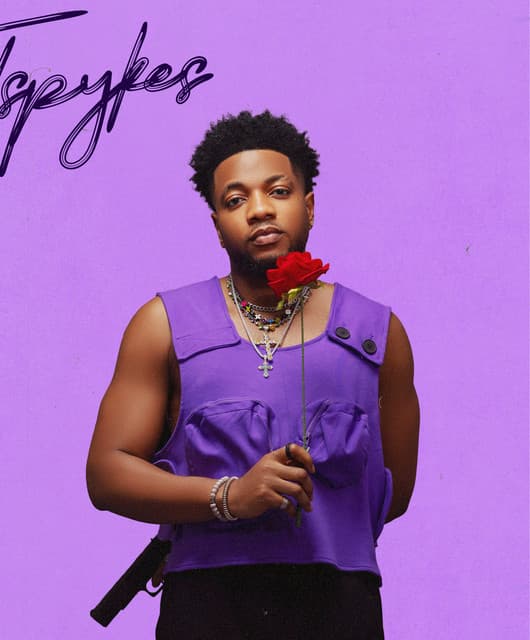 Tspykes