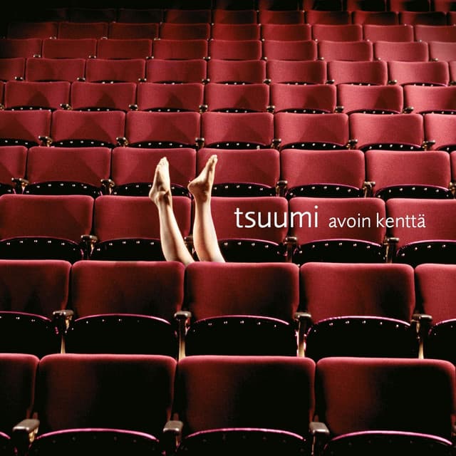 Tsuumi Sound System