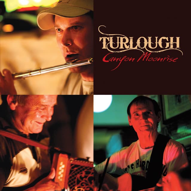 Turlough