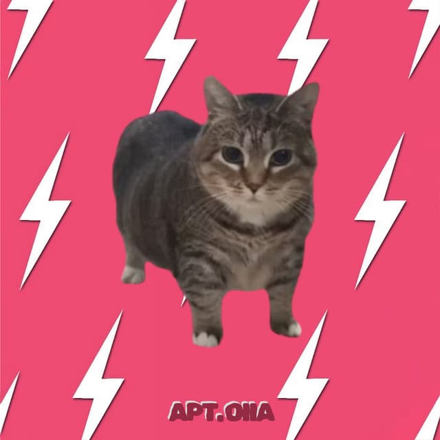 Uiia Cat