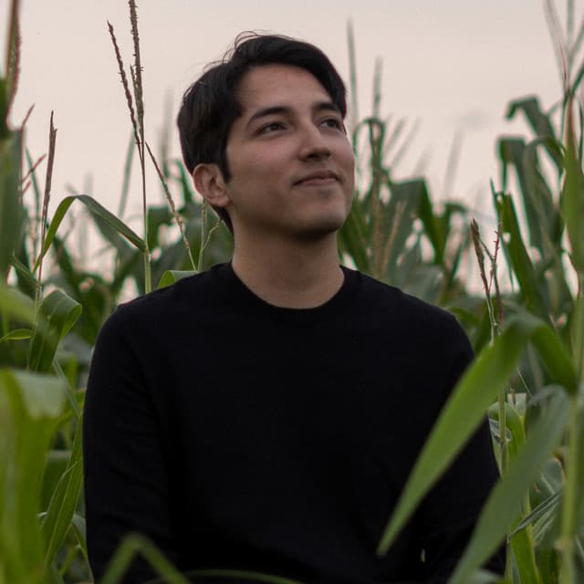 Ulises Máiz