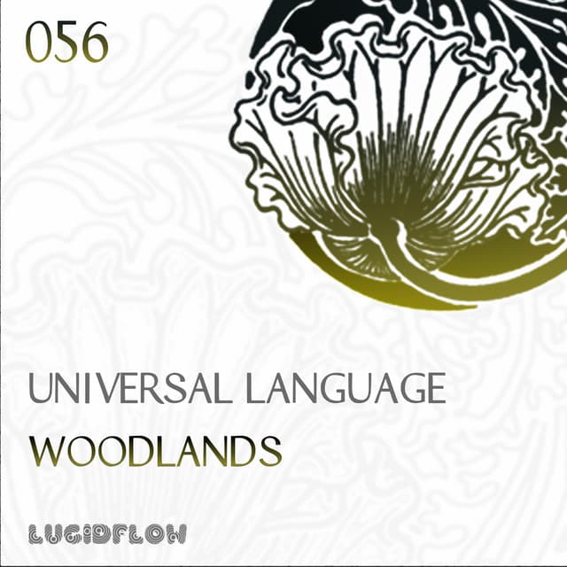 Universal Language