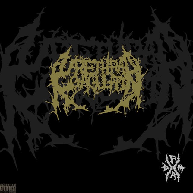 Urethral Coagulation