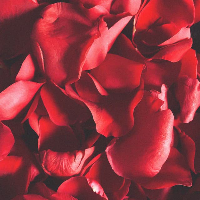 Valentyne