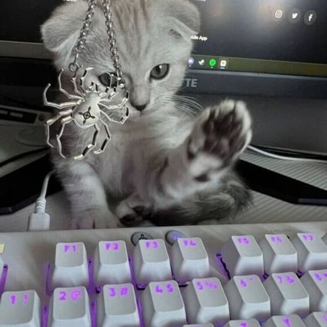 VAMPXL